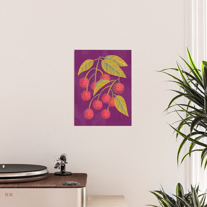 Rambutan Fruit Poster Gallery Image 2