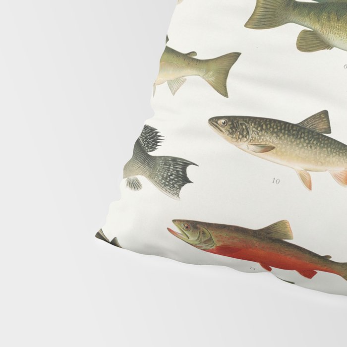 Illustrated North America Game Fish Identification Chart Pillow Sham Gallery Image 4
