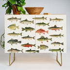 Illustrated North America Game Fish Identification Chart Credenza Gallery Image 1