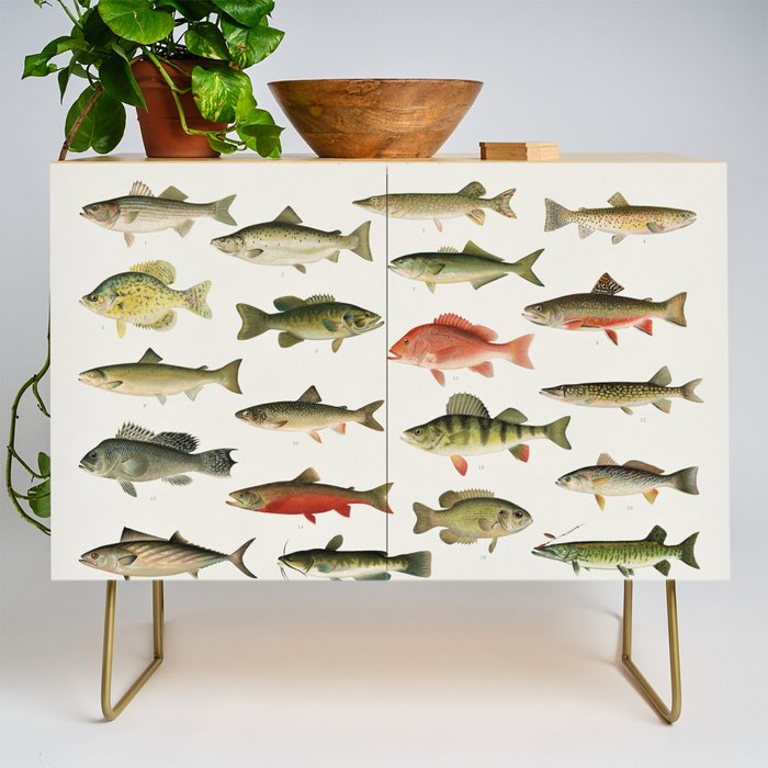 Illustrated North America Game Fish Identification Chart Credenza Gallery Image 1