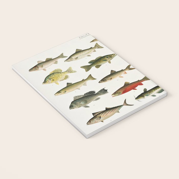 Illustrated North America Game Fish Identification Chart Notebook Gallery Image 3