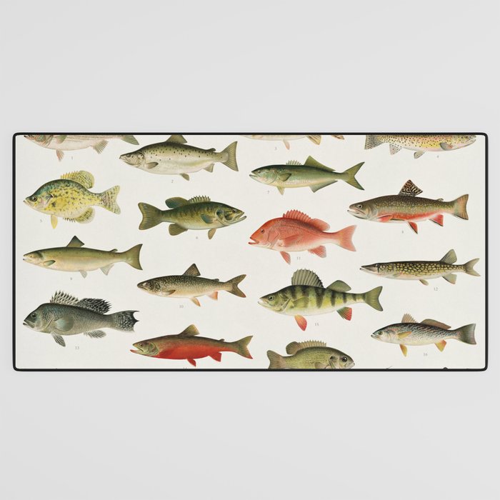 Illustrated North America Game Fish Identification Chart Desk Mat Gallery Image 3