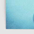 The Whale Shark Poster Gallery Image 3
