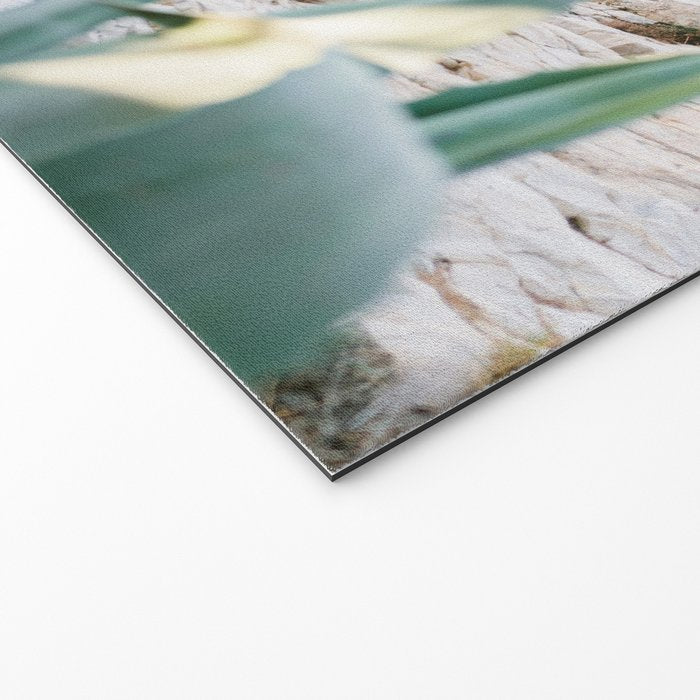 A few steps from the ocean | Fine art Croatia travel photography print | Coastal sea wall art Welcome Mat Gallery Image 2