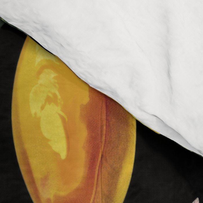 Hidden Exotic Hummingbird Paradise Black Comforter Gallery Image 4