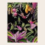 Hidden Exotic Hummingbird Paradise Black Poster Gallery Image 4