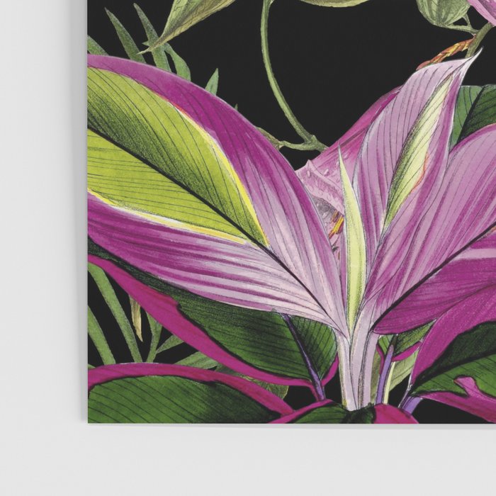 Hidden Exotic Hummingbird Paradise Black Poster Gallery Image 3