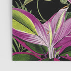 Hidden Exotic Hummingbird Paradise Black Poster Gallery Image 3