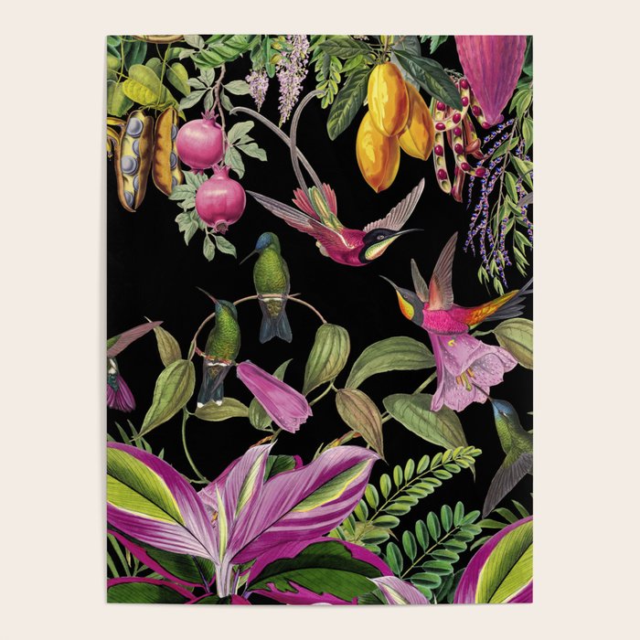 Hidden Exotic Hummingbird Paradise Black Poster Gallery Image 1