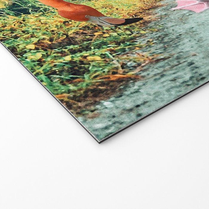 Flamingo Vacay #photography #surrealism Welcome Mat Gallery Image 2