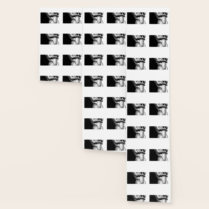 Joe - Nood Dood Wallpaper Gallery Image 3