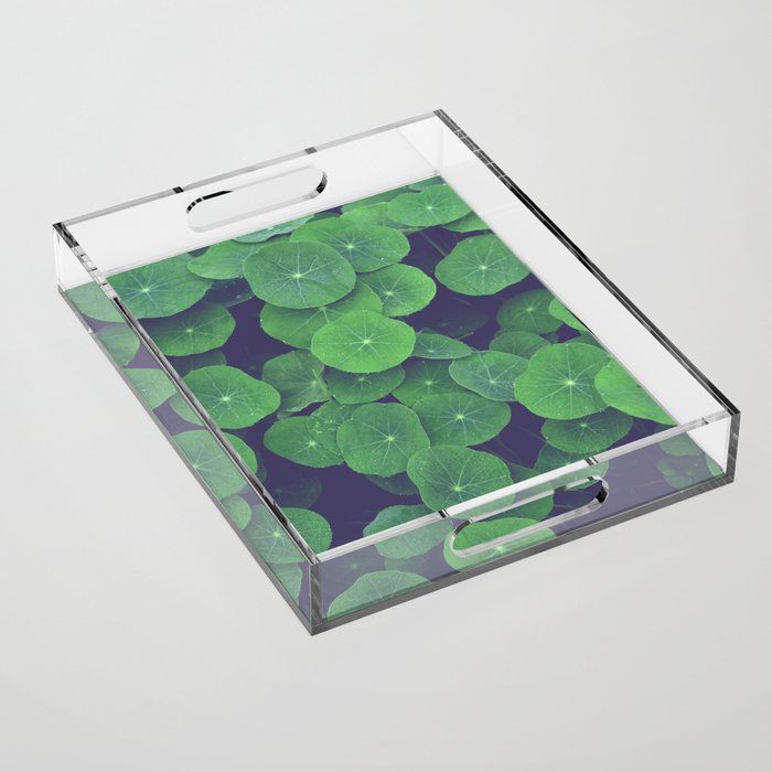 Nasturtium Leaves - botanical leaf plant photograph Acrylic Tray Gallery Image 1