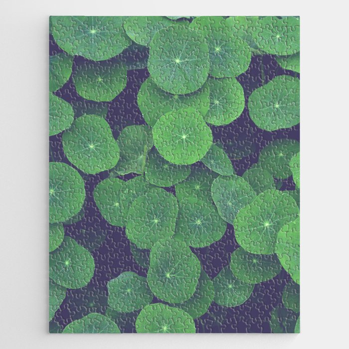 Nasturtium Leaves - botanical leaf plant photograph Jigsaw Puzzle Gallery Image 1