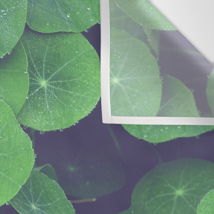Nasturtium Leaves - botanical leaf plant photograph Wall Tapestry Gallery Image 3