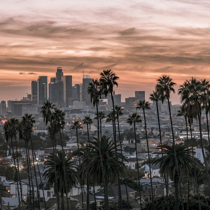 Los Angeles Coffee Mug Gallery Image 2