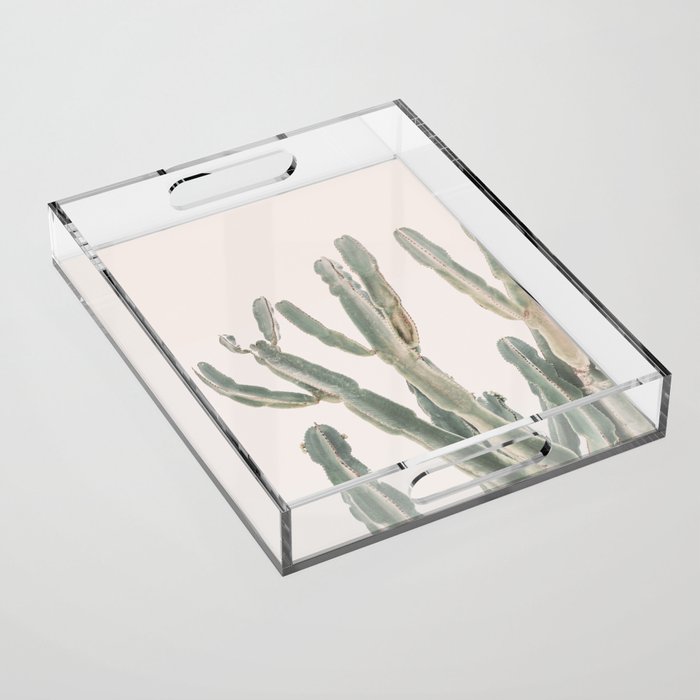 Sunrise Cactus Acrylic Tray Gallery Image 1