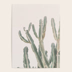 Sunrise Cactus Poster Gallery Image 4