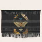 Moths Butterflies In Darkness Vintage Scientific Illustration Encyclopedia Diagram Wall Hanging Gallery Image 1