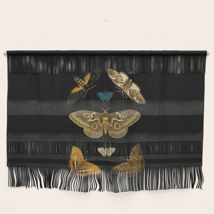 Moths Butterflies In Darkness Vintage Scientific Illustration Encyclopedia Diagram Wall Hanging Gallery Image 1