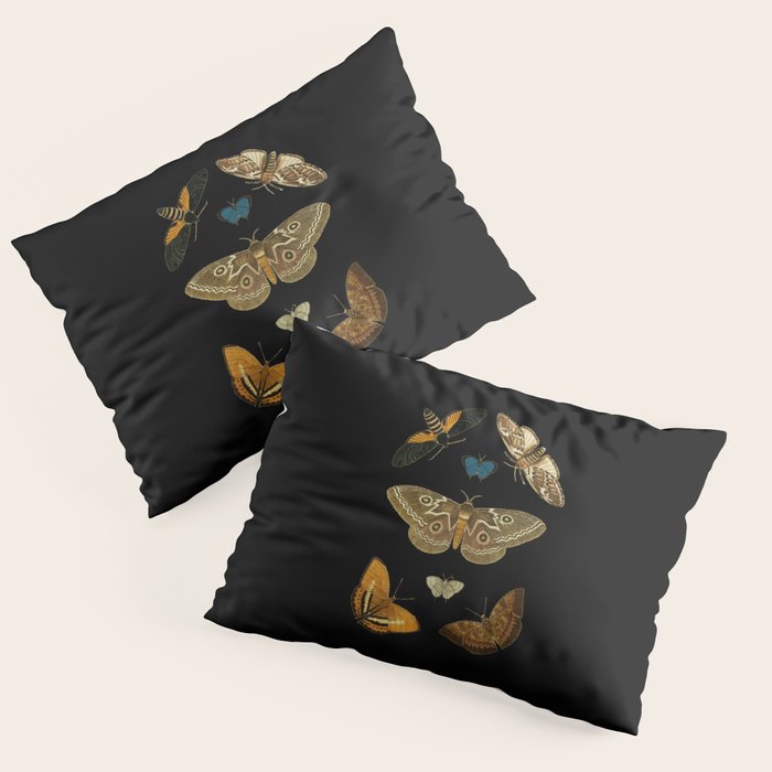 Moths Butterflies In Darkness Vintage Scientific Illustration Encyclopedia Diagram Pillow Sham Gallery Image 1