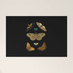 Moths Butterflies In Darkness Vintage Scientific Illustration Encyclopedia Diagram Welcome Mat Gallery Image 1