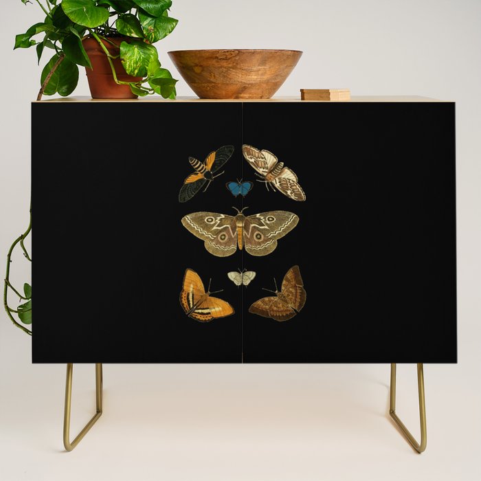 Moths Butterflies In Darkness Vintage Scientific Illustration Encyclopedia Diagram Credenza Gallery Image 1