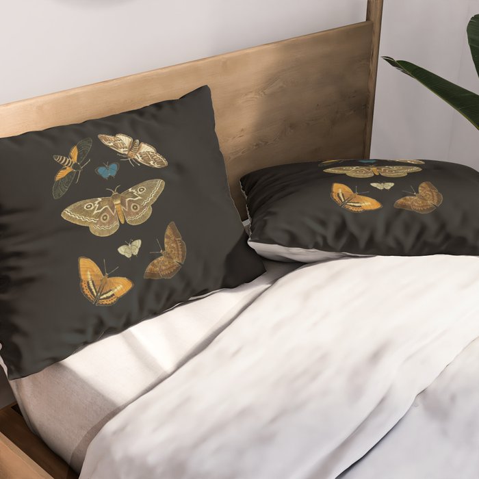 Moths Butterflies In Darkness Vintage Scientific Illustration Encyclopedia Diagram Pillow Sham Gallery Image 2