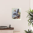 Gyr Falcon and Peregrine Falcon by Archibald Thorburn, 1915 (benefitting The Nature Conservancy) Poster Gallery Image 2