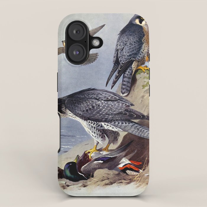 Gyr Falcon and Peregrine Falcon by Archibald Thorburn, 1915 (benefitting The Nature Conservancy) iPhone Case Gallery Image 1