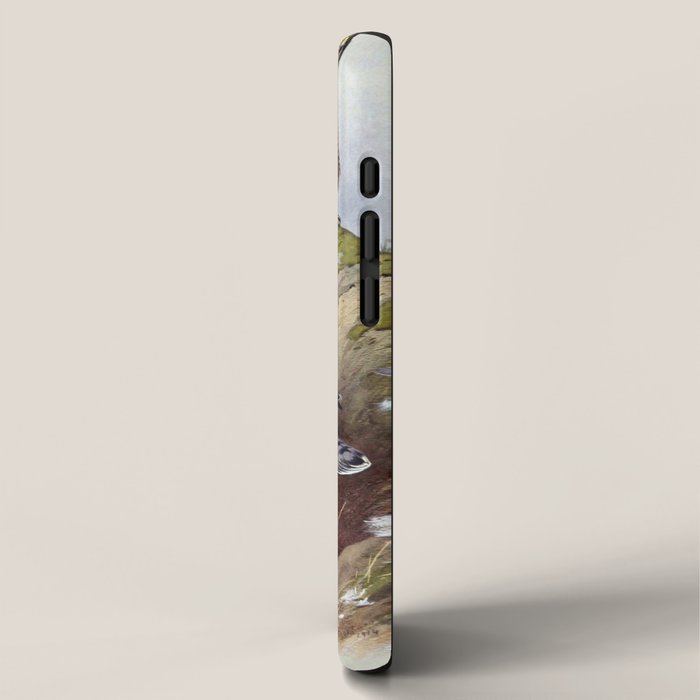 Gyr Falcon and Peregrine Falcon by Archibald Thorburn, 1915 (benefitting The Nature Conservancy) iPhone Case Gallery Image 2