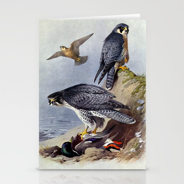 Gyr Falcon and Peregrine Falcon by Archibald Thorburn, 1915 (benefitting The Nature Conservancy) Stationery Card Gallery Image 2