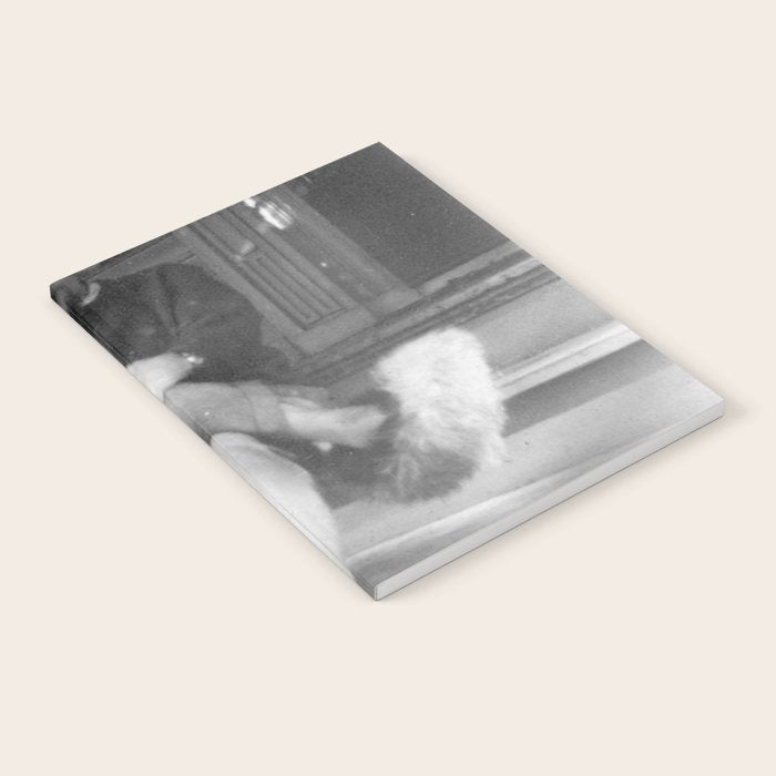 Funny Einstein in Fuzzy Slippers Classic Black and White Satirical Photography - Photographs Notebook Gallery Image 1
