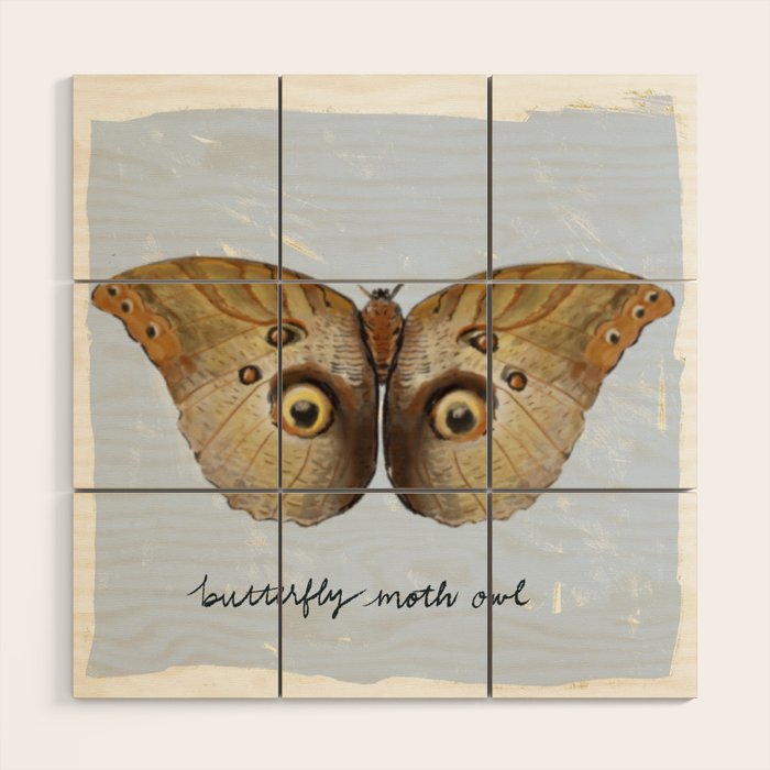 Vintage Butterfly Moth Owl on Soft Sky  Wood Wall Art Gallery Image 1