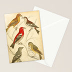 Crossbills from The Edinburgh Journal, 1835 (benefitting The Nature Conservancy) Stationery Card Gallery Image 2