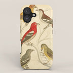 Crossbills from The Edinburgh Journal, 1835 (benefitting The Nature Conservancy) iPhone Case Gallery Image 1