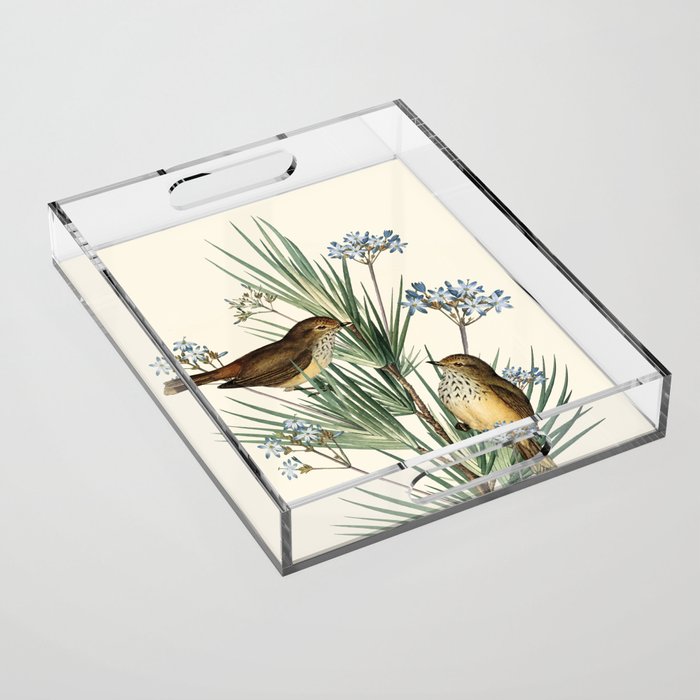 Little Birds and Flowers III Acrylic Tray Gallery Image 1