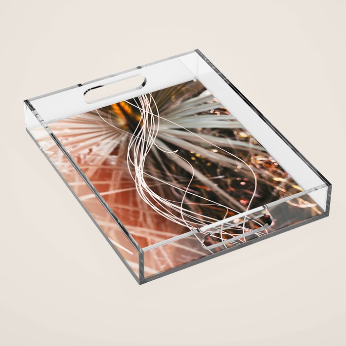 Curves Acrylic Tray Gallery Image 1