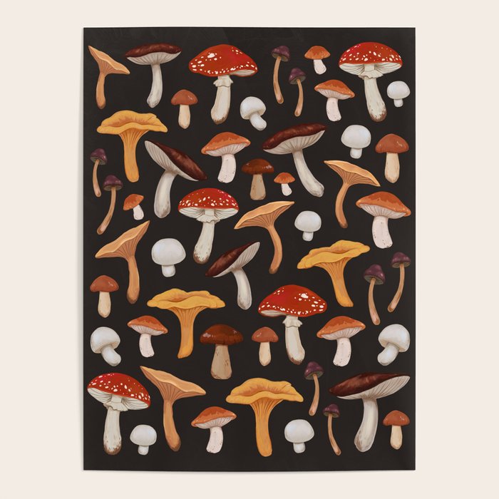 Mushroom Medley Poster Gallery Image 4