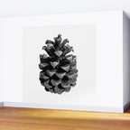 Pinecone Wall Mural Gallery Image 2