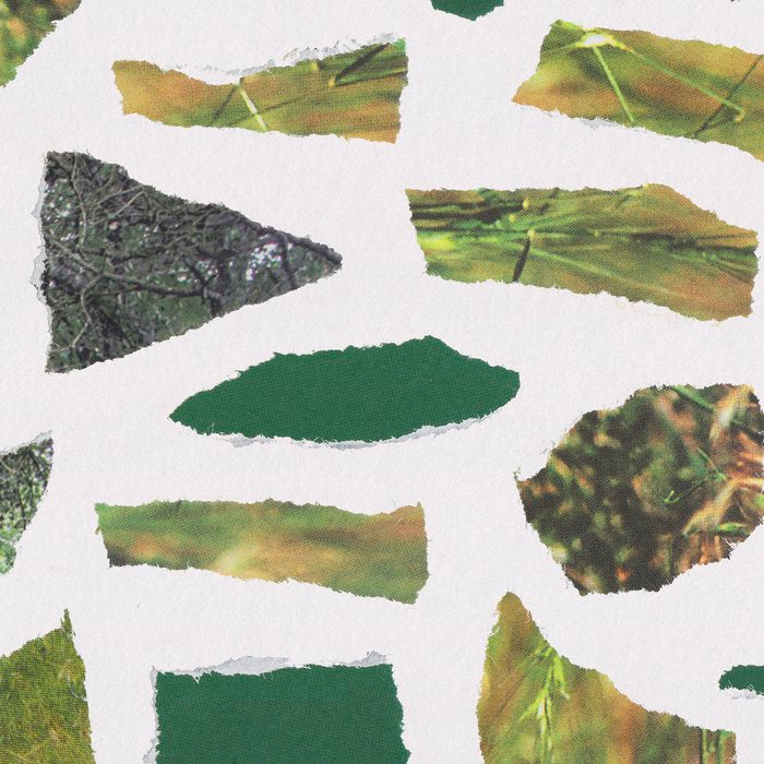 Shades of Green Coffee Mug Gallery Image 2