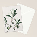 Olive Tree Branch Stationery Card Gallery Image 2