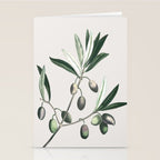 Olive Tree Branch Stationery Card Gallery Image 2