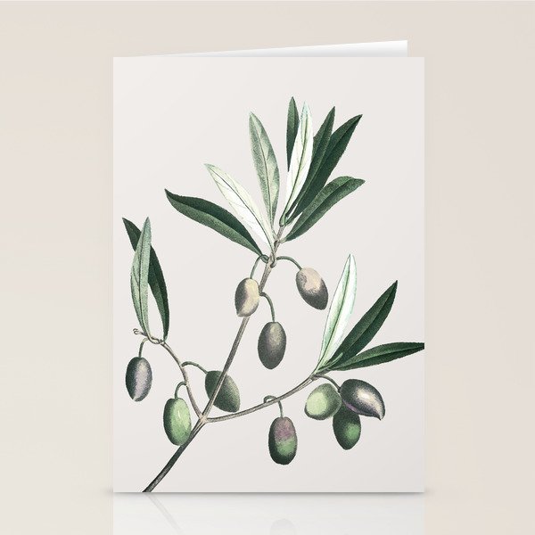 Olive Tree Branch Stationery Card Gallery Image 2