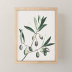 Olive Tree Branch Mini Art Print Gallery Image 1