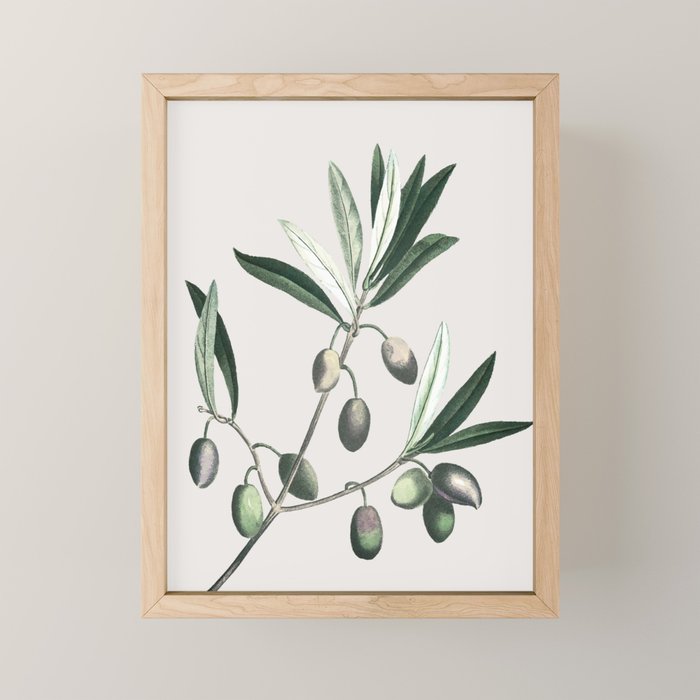 Olive Tree Branch Mini Art Print Gallery Image 1