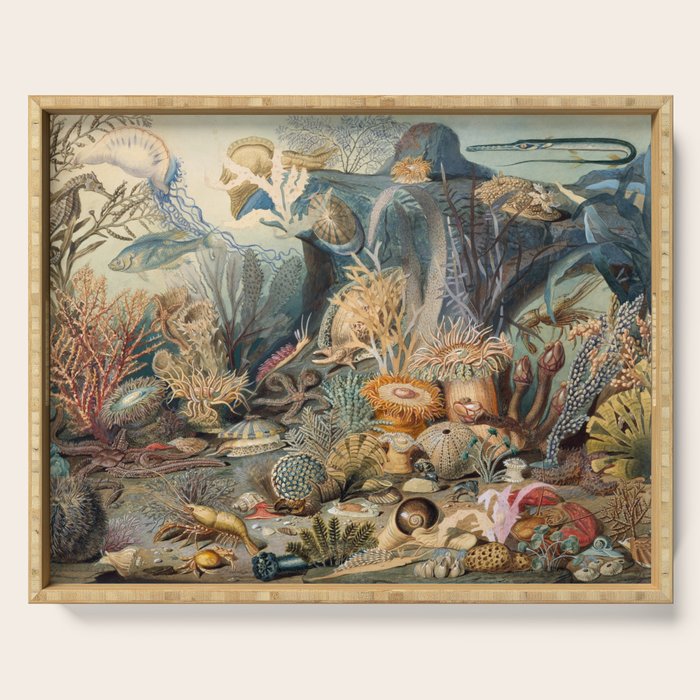 Ocean Life by James M Sommerville 1859 Funky Quirky Cute Cozy Boho Maximalism Maximalist Serving Tray Gallery Image 1