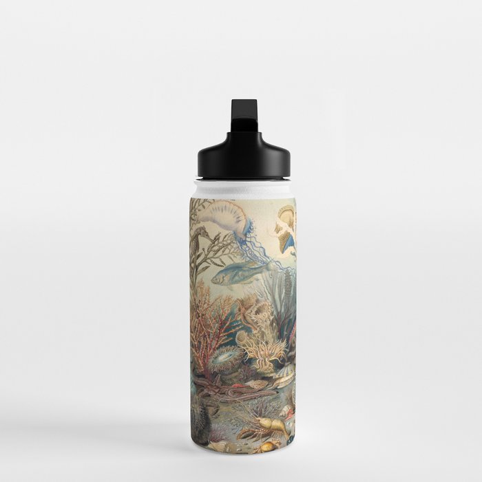 Ocean Life by James M Sommerville 1859 Funky Quirky Cute Cozy Boho Maximalism Maximalist Water Bottle Gallery Image 3