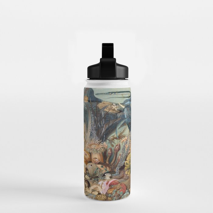 Ocean Life by James M Sommerville 1859 Funky Quirky Cute Cozy Boho Maximalism Maximalist Water Bottle Gallery Image 2