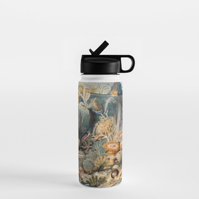 Ocean Life by James M Sommerville 1859 Funky Quirky Cute Cozy Boho Maximalism Maximalist Water Bottle Gallery Image 1