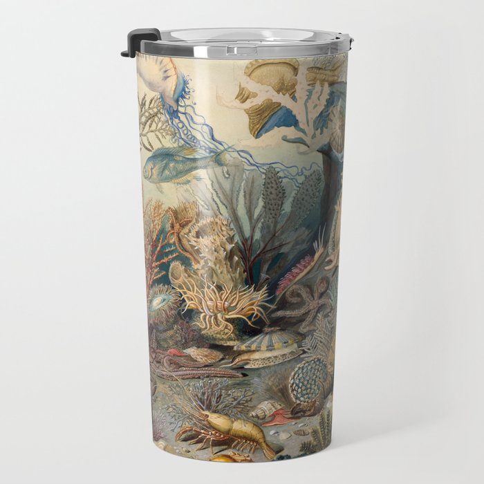 Ocean Life by James M Sommerville 1859 Funky Quirky Cute Cozy Boho Maximalism Maximalist Travel Mug Gallery Image 3